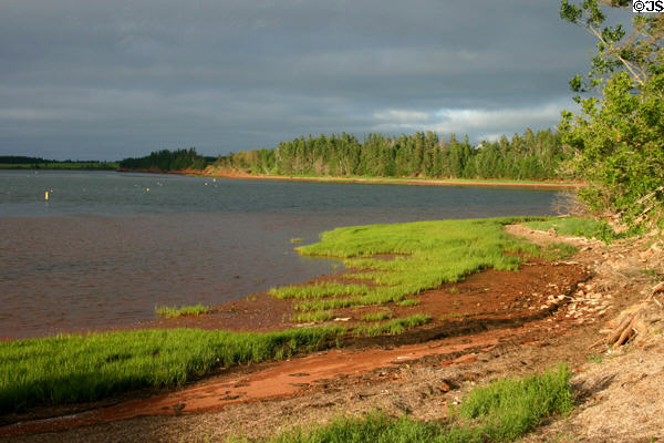 Typical PEI inlet where forest meets the sea. PE.