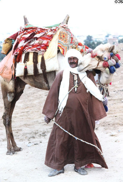 Camel & handler for tourist photos at pyramids. Giza, Egypt.