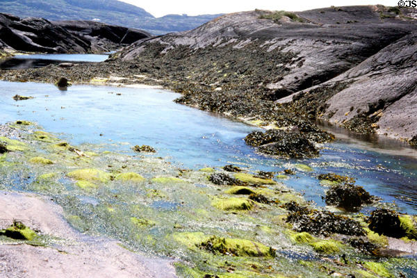 Ocean tide pools in Derrynane National Park. Ireland.