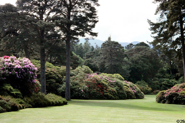 Gardens at Muckross House, near Killarney. Ireland.