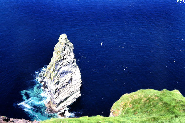 Looking down from cliffs of Moher. Ireland.