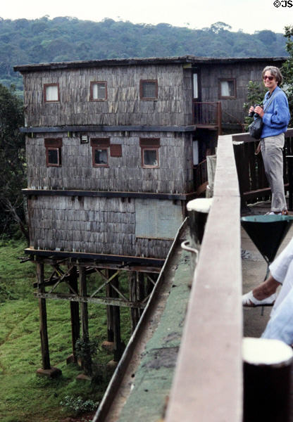 Treetops Resort in Aberdare National Park where Queen Elizabeth learned of death of her father King. Kenya.