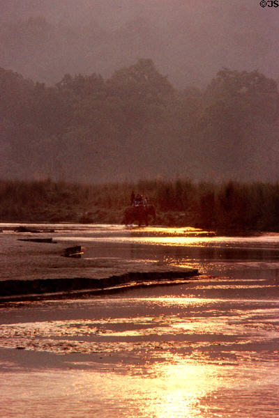 Elephant beside river in Chitwan National Park during sunset. Nepal.
