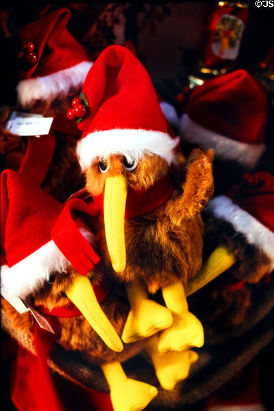 Santa Kiwi birds, a symbol of New Zealand, at Rotorua. New Zealand.