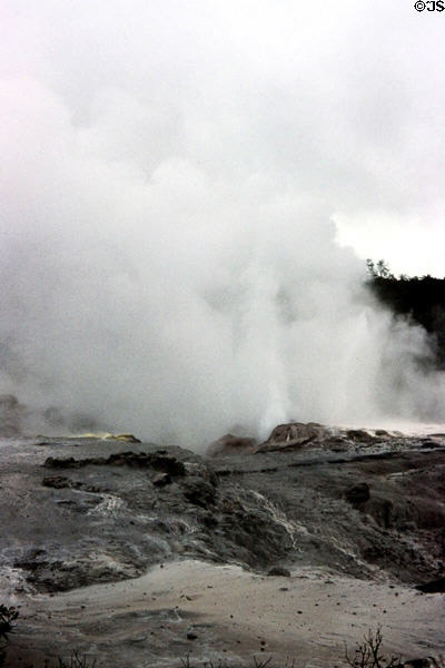 Steaming pool at village of Rotorua. New Zealand.