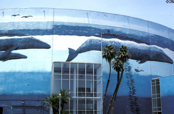 Whale wall by Wyland on Long Beach Arena. Long Beach, CA.