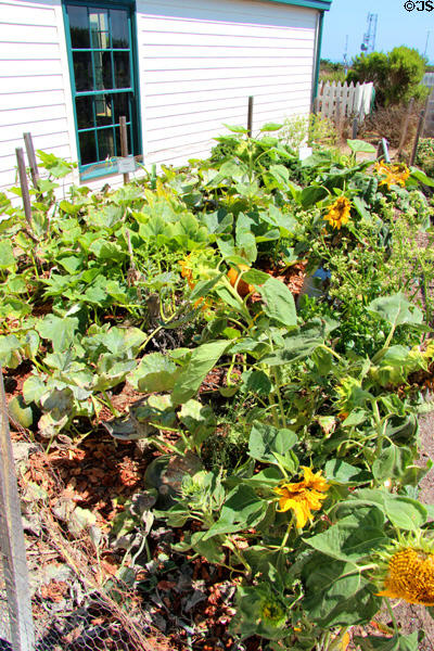 Kitchen garden at Old Point Loma Lighthouse. San Diego, CA.