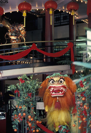 Lion figure in Chinatown shop. San Francisco, CA.
