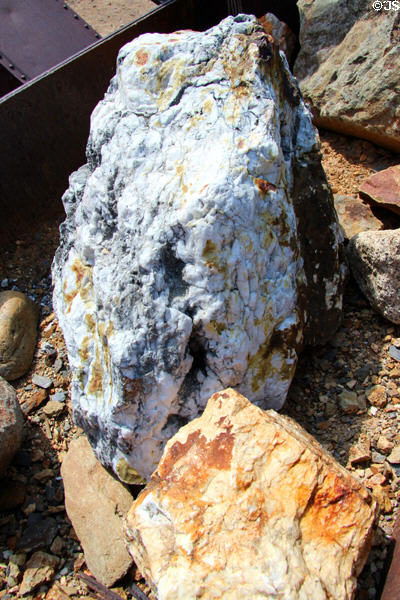 Gold ore samples at Mariposa Museum. Mariposa, CA.