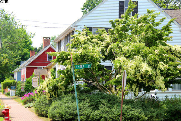 Wethersfield streetscape with flowering trees. Wethersfield, CT.