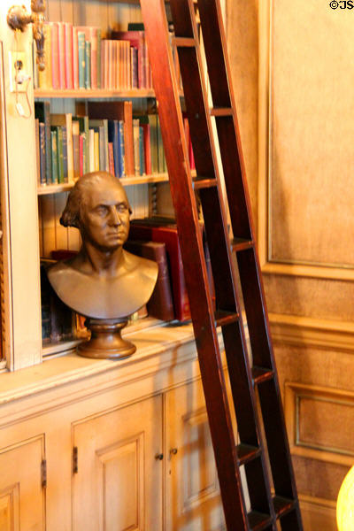 Library ladder with alternate step (aka tooth chipper) at Woodrow Wilson House. Washington, DC.