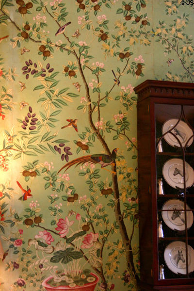 Antique wallpaper with birds at Pebble Hill Plantation. Thomasville, GA.