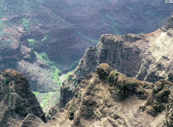 Waimea Canyon vista. Kauai, HI.