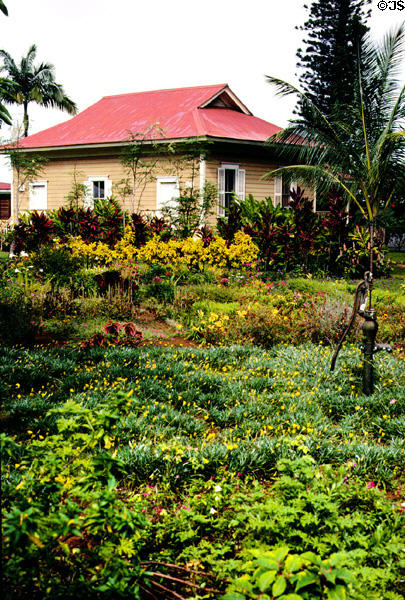 Plantation garden in Kilohana. Kauai, HI.
