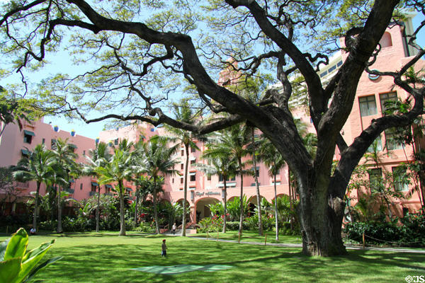 Courtyard of The Royal Hawaiian Hotel with Monkeypod Tree. Waikiki, HI.