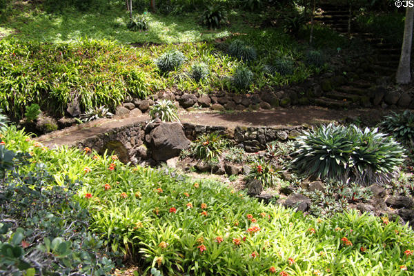 Garden of The Contemporary Museum. Honolulu, HI.