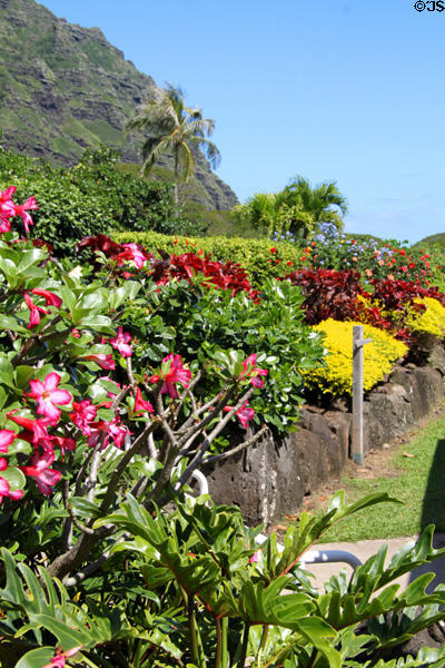 Kualoa Ranch gardens. HI.