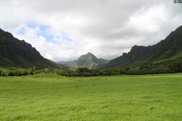 Grazing land in valley on Kualoa Ranch. HI.