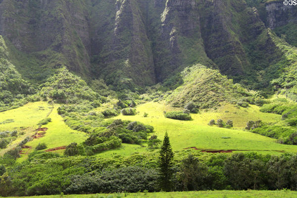 Landscape of Kualoa Ranch. HI.