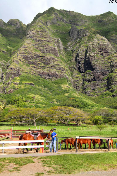 Riding horses at Kualoa Ranch. HI.