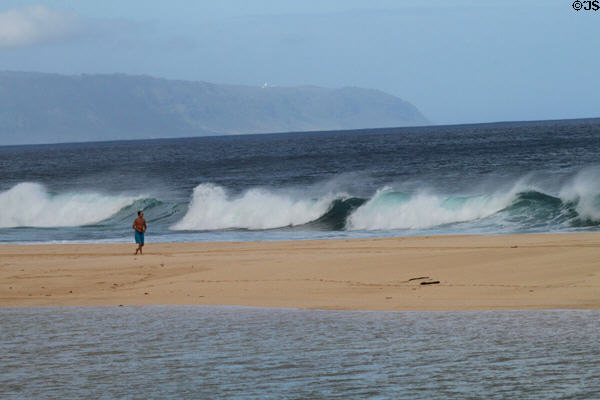Walker with Banzai Pipeline waves. HI.