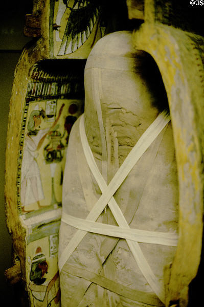 Egyptian mummy in Field Museum of Natural History. Chicago, IL.