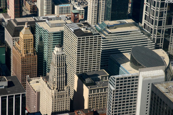 Brown Century Tower, blue Florsheim Tower, octagonal Randolph Tower, white 180 N. LaSalle, round sky lit Thompson Center & semi-round-topped 120 N. LaSalle from Sears Tower. Chicago, IL.