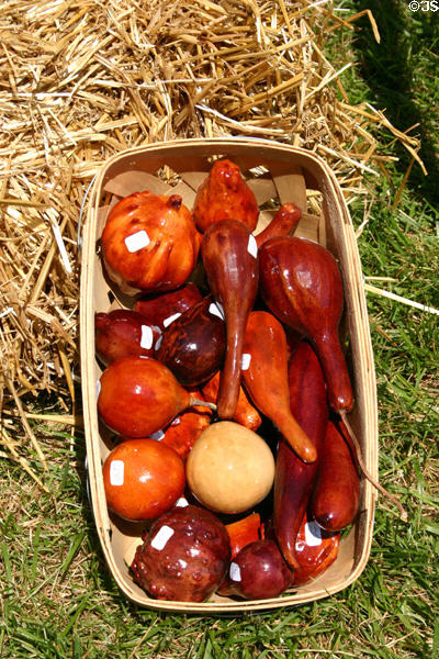 Gourds at crafts festival at Locust Grove. Louisville, KY.
