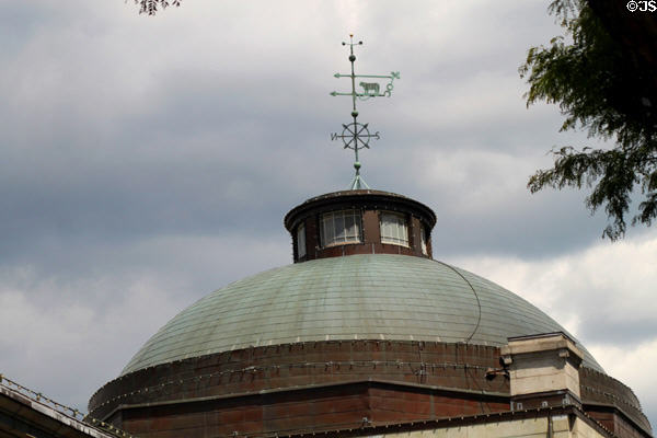 Dome atop Quincy Market building at Faneuil Hall Market with cow weathervane. Boston, MA.