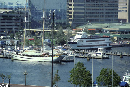 Boats moored in Baltimore inner harbor. Baltimore, MD.