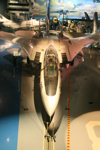 Grumman F-14ATomcat (c1970) at Air Zoo. Kalamazoo, MI.