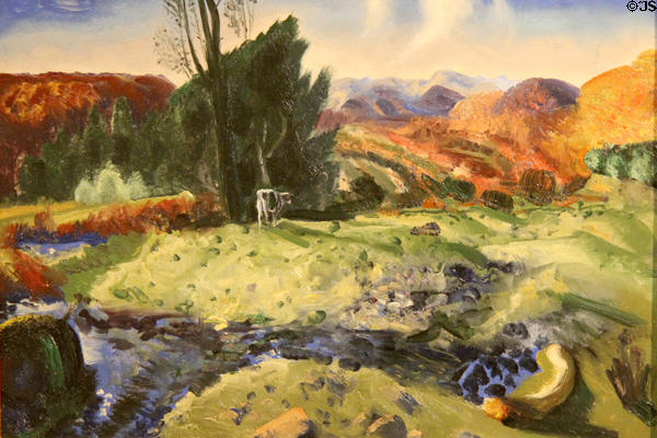 Autumn Brook painting (1922) by George Bellows at Memorial Art Gallery. Rochester, NY.