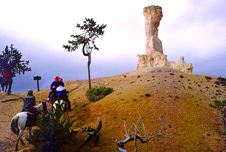 On the trail in Bryce Canyon National Park. UT.