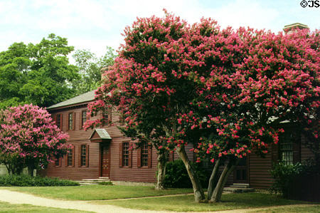 Crepe & myrtle trees in front of original Peyton Randolph House (1715-mid 1700s), home of man who presided over first Continental Congress. Williamsburg, VA.