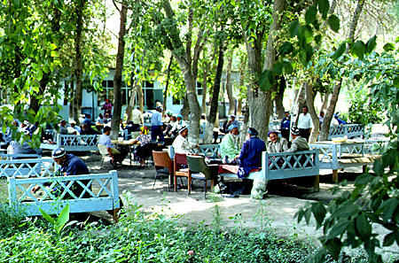 Men socializing in a park in Bukhara. Uzbekistan.