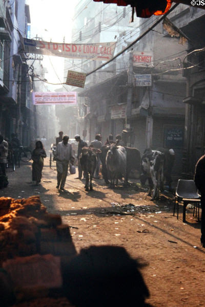 Light makes its way through buildings of Chandri Chowk. Delhi, India.
