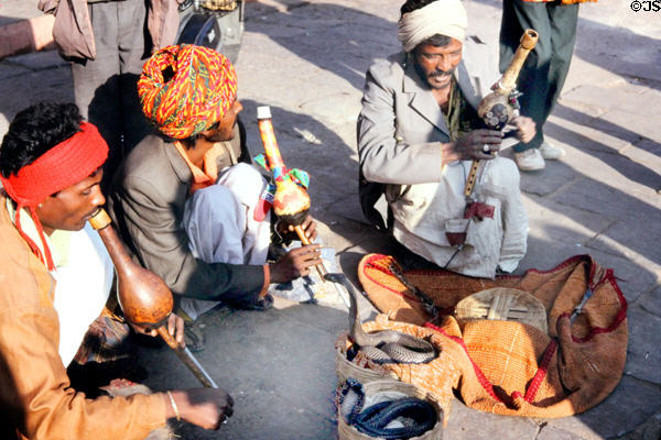 Snake charmers with cobras in Jaipur. India.