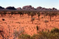 The Olgas tower over flat scrub around them. Australia.