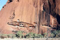 Eroded face of Uluru towers over trees. Australia.