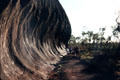 Path around perimeter of Uluru. Australia.