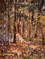 Tom Thomson's Camp painting on board by Arthur Lismer at McMichael Gallery. Kleinburg, ON.