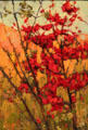 Soft maple in autumn painting on board by Tom Thompson at Tom Thompson Art Gallery. Owen Sound, ON.