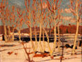April in Algonquin Park painting on board by Tom Thompson at Tom Thompson Art Gallery. Owen Sound, ON.