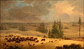 Buffalo Pound painting by Paul Kane at Art Gallery of Ontario. Toronto, ON.