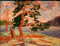 Pine Tree painting by Tom Thomson at Art Gallery of Ontario. Toronto, ON.