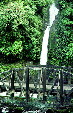 Waterfall and bridge on road to Poas. Costa Rica.