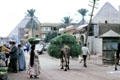 Woman & camel with loads with Giza pyramids beyond. Egypt.