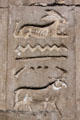 Carved hieroglyphs in Temple of Khnum in Esna. Egypt.