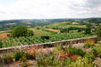 View of countryside surrounding Vézelay. Vézelay, France.