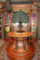 Peacocks, stained glass & circular shop counter all in Art Nouveau style, in Boutique Fouquet at Carnavalet Museum. Paris, France.